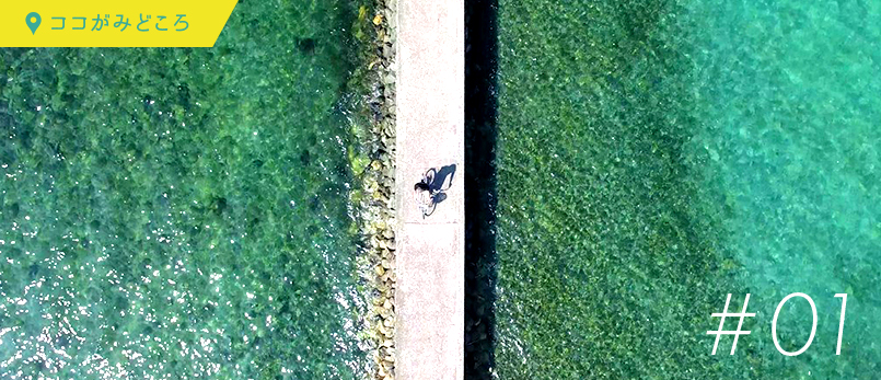 ココがみどころ