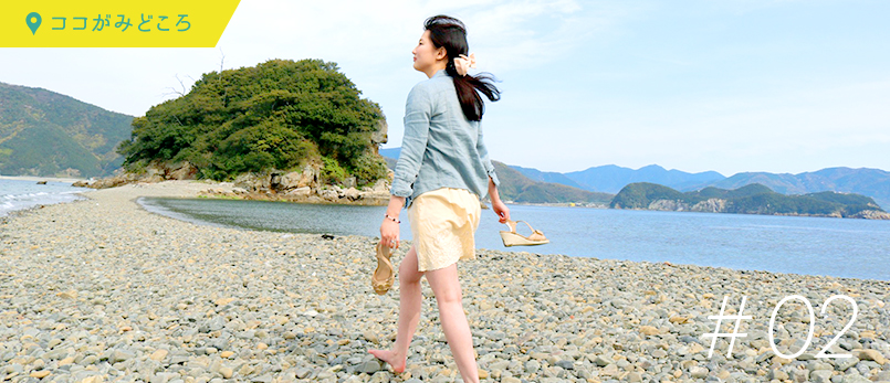 ココがみどころ