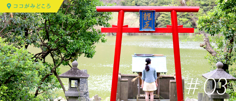 ココがみどころ