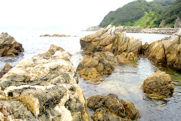 国指定天然記念物「シュードタキライト及び変成岩類」