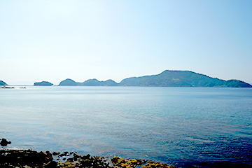 大島を見渡すスポット